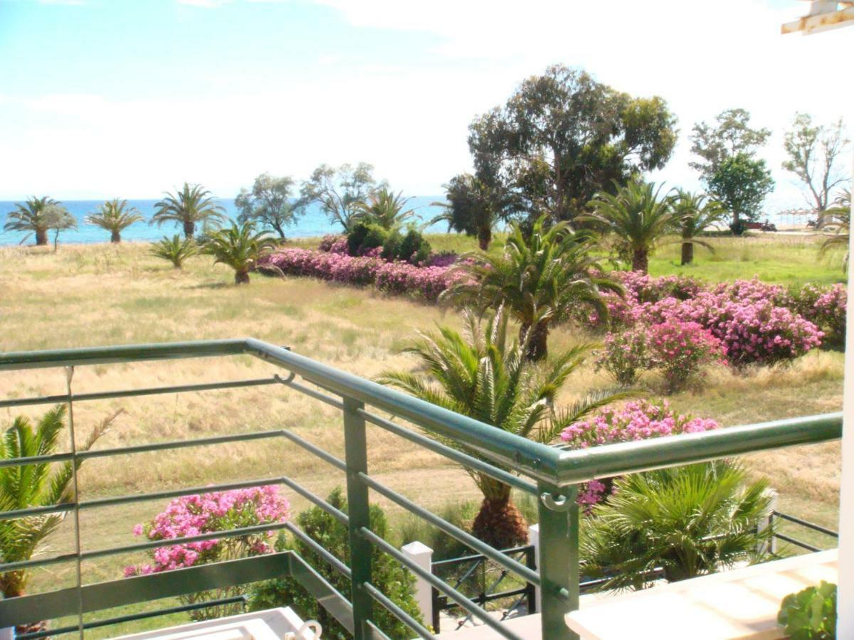 דירות ניאה מודאניה Oxana House מראה חיצוני תמונה